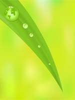 green-earth-leaf