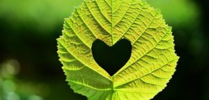 Make your Valentine’s day an eco-friendly one with these 6 tips